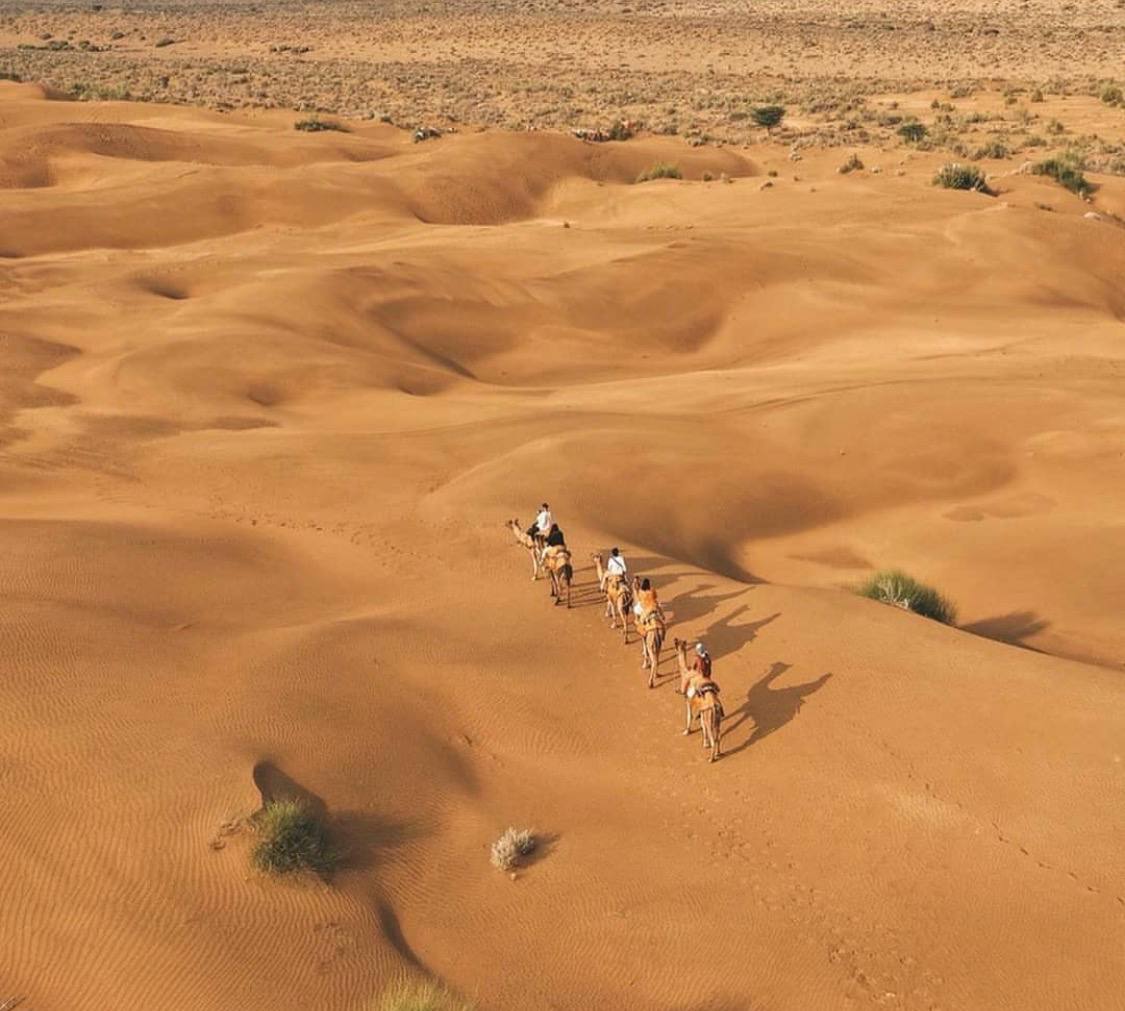 Desert Moment